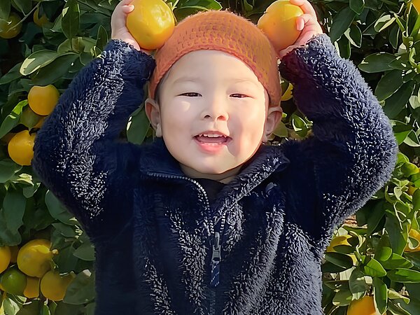 ブログはじめましたの画像